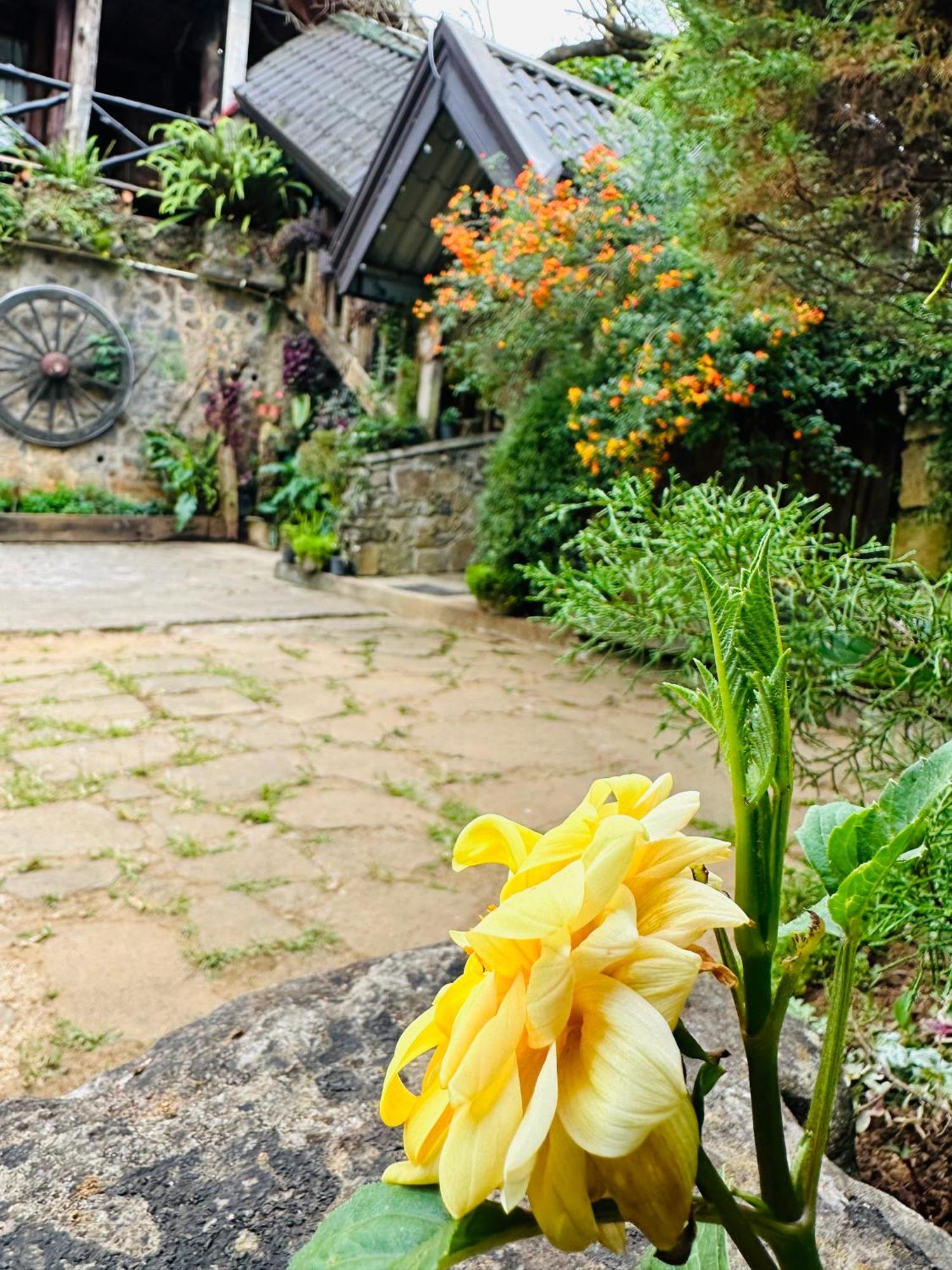 Villa 47 Nuwara Eliya Exterior foto