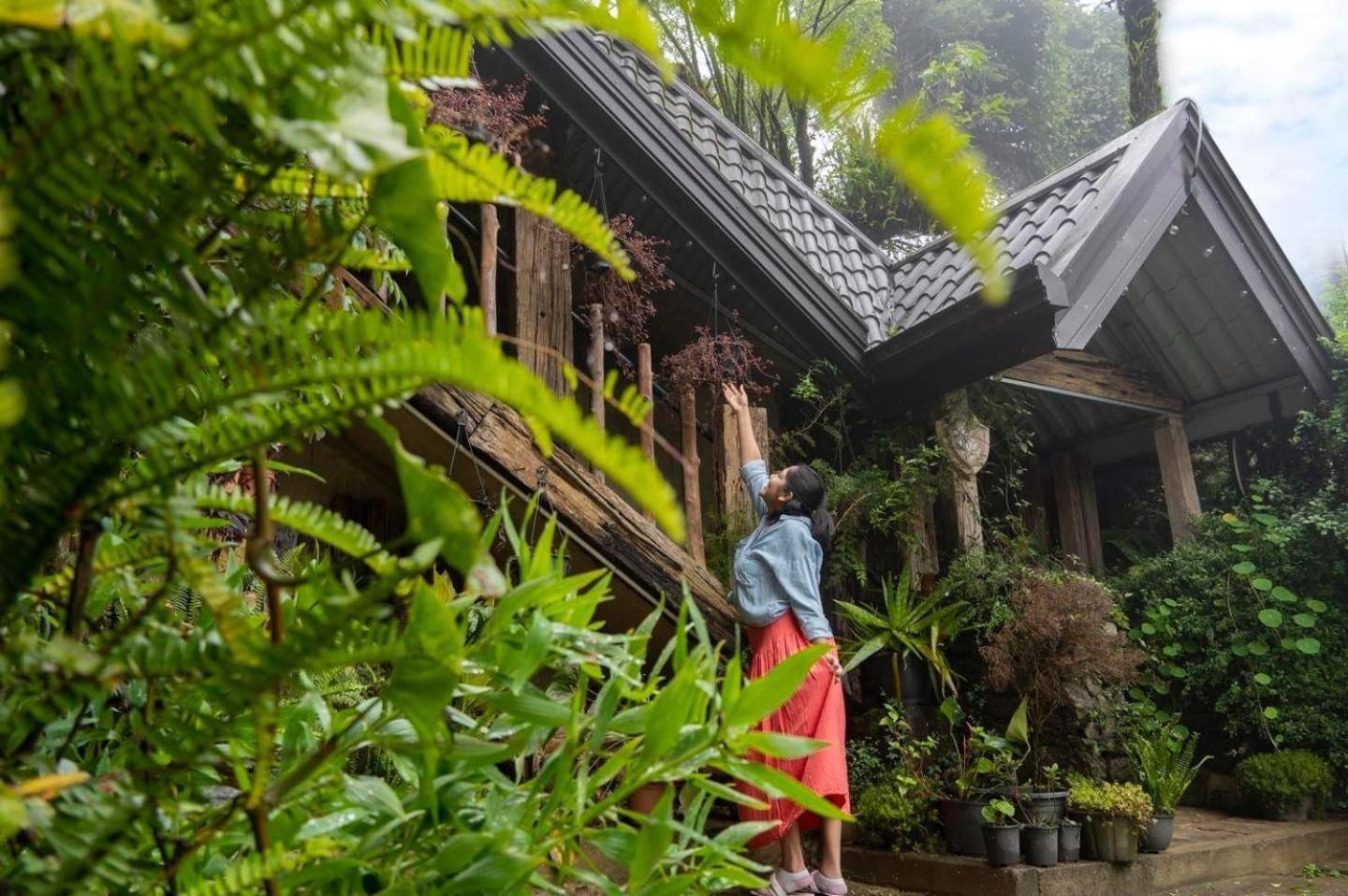 Villa 47 Nuwara Eliya Exterior foto
